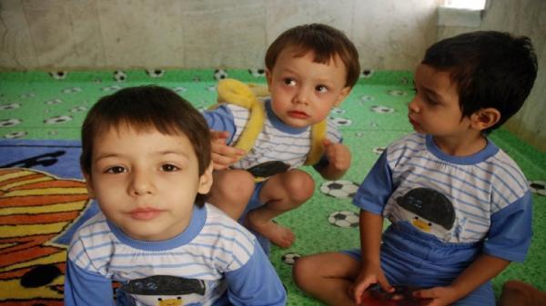 شناسایی 85 نوزاد مبتلا به پی کی یو در استان همدان