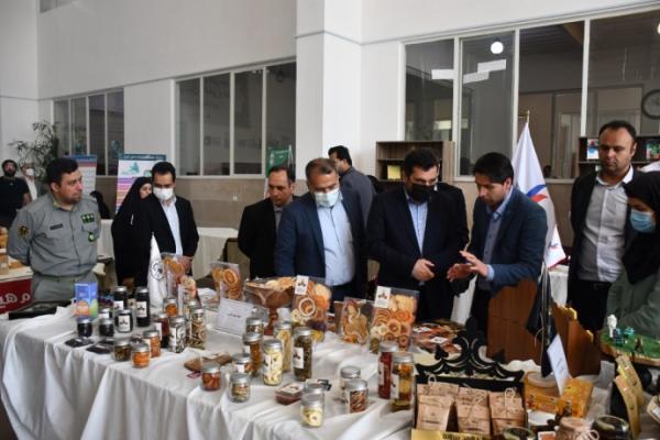 آغاز بکار دبیرخانه دائمی کنسرسیوم محیط زیستی در دانشگاه شروع بکار دبیرخانه دائمی کنسرسیوم محیط زیستی در دانشگاه تبریز
