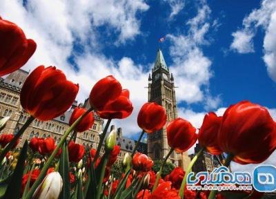 فستیوال گل لاله یکی از دیدنی ترین فستیوال های کانادا است