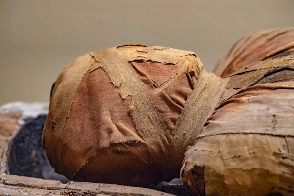 کشف دو مومیایی باستانی مصر در فاضلاب